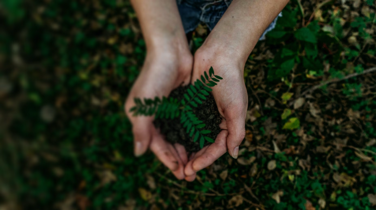 hero sustainability